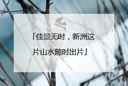 佳景无时，新洲这片山水随时出片