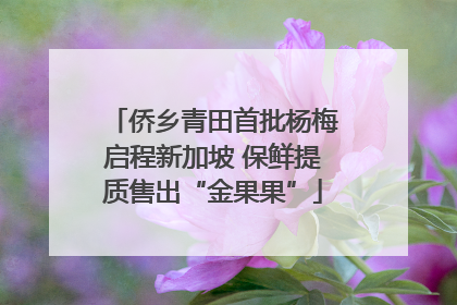 侨乡青田首批杨梅启程新加坡 保鲜提质售出“金果果”