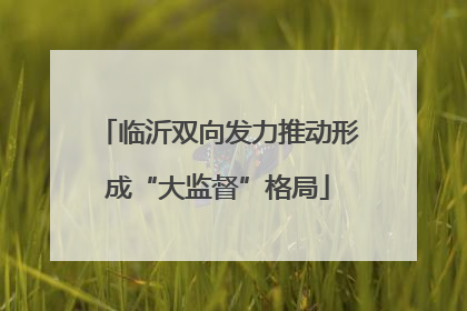 临沂双向发力推动形成“大监督”格局