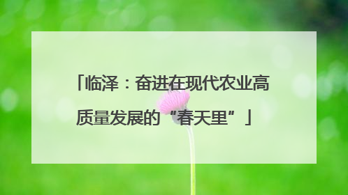 临泽：奋进在现代农业高质量发展的“春天里”