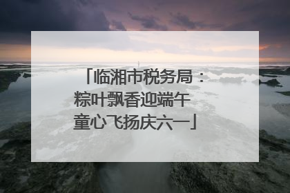 临湘市税务局：粽叶飘香迎端午 童心飞扬庆六一