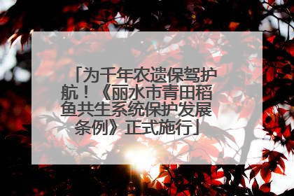 为千年农遗保驾护航！《丽水市青田稻鱼共生系统保护发展条例》正式施行