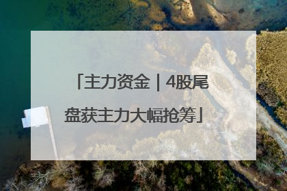 主力资金｜4股尾盘获主力大幅抢筹