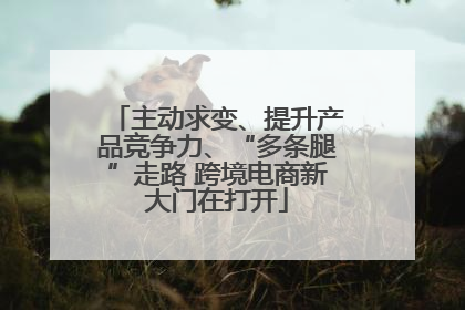 主动求变、提升产品竞争力、“多条腿”走路 跨境电商新大门在打开