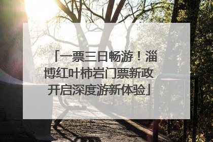 一票三日畅游！淄博红叶柿岩门票新政开启深度游新体验