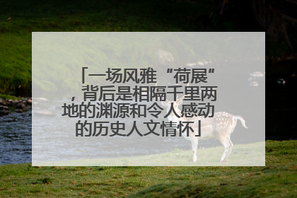 一场风雅“荷展”，背后是相隔千里两地的渊源和令人感动的历史人文情怀