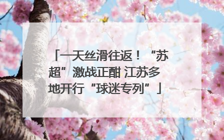 一天丝滑往返！“苏超”激战正酣 江苏多地开行“球迷专列”