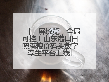 一屏统览，全局可控！山东港口日照港粮食码头数字孪生平台上线