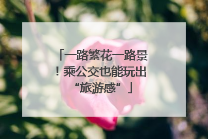 一路繁花一路景！乘公交也能玩出“旅游感”
