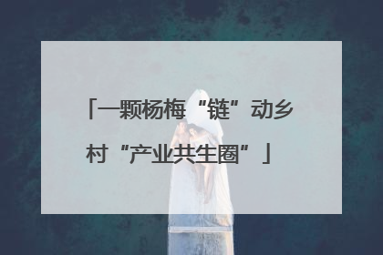 一颗杨梅“链”动乡村“产业共生圈”