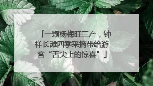一颗杨梅旺三产，钟祥长滩四季采摘带给游客“舌尖上的惊喜”