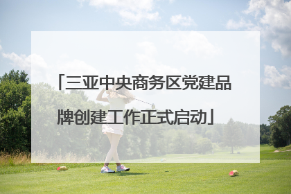 三亚中央商务区党建品牌创建工作正式启动