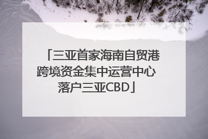 三亚首家海南自贸港跨境资金集中运营中心落户三亚CBD