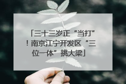三十三岁正“当打”！南京江宁开发区“三位一体”挑大梁