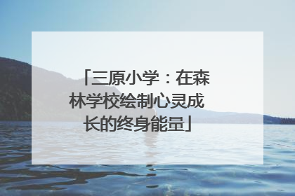 三原小学：在森林学校绘制心灵成长的终身能量