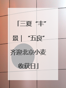 三夏“丰”景｜“五良”齐迎北京小麦收获日