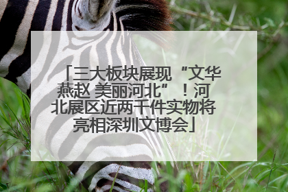 三大板块展现“文华燕赵 美丽河北”！河北展区近两千件实物将亮相深圳文博会