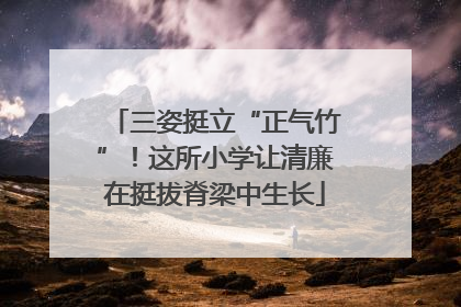 三姿挺立“正气竹”！这所小学让清廉在挺拔脊梁中生长