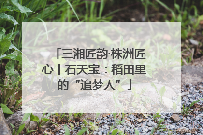三湘匠韵·株洲匠心丨石天宝：稻田里的“追梦人”