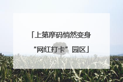 上第摩码悄然变身“网红打卡”园区