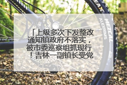 上级多次下发整改通知镇政府不落实，被市委巡察组抓现行！吉林一副镇长受党内警告处分