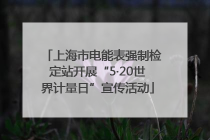 上海市电能表强制检定站开展“5·20世界计量日”宣传活动