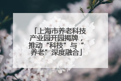上海市养老科技产业园开园揭牌，推动“科技”与“养老”深度融合
