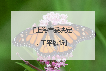 上海市委决定：王平履新