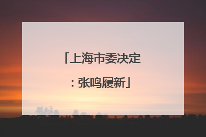上海市委决定：张鸣履新