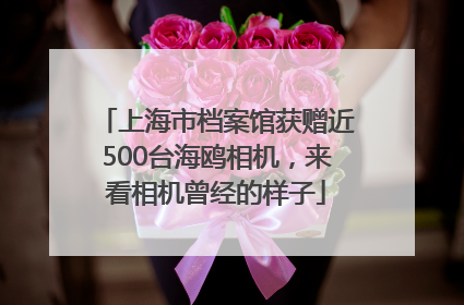 上海市档案馆获赠近500台海鸥相机，来看相机曾经的样子
