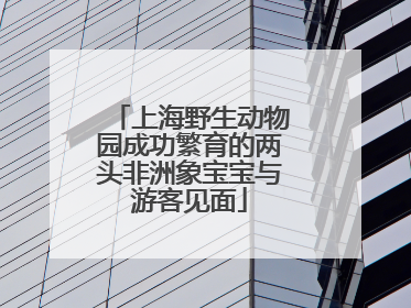 上海野生动物园成功繁育的两头非洲象宝宝与游客见面