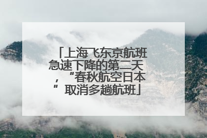 上海飞东京航班急速下降的第二天，“春秋航空日本”取消多趟航班