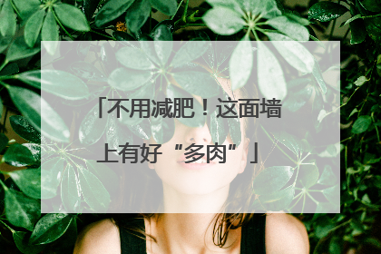 不用减肥！这面墙上有好“多肉”