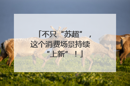 不只“苏超”，这个消费场景持续“上新”！