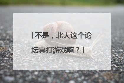 不是，北大这个论坛真打游戏啊？