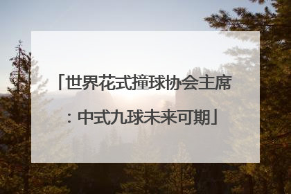 世界花式撞球协会主席：中式九球未来可期