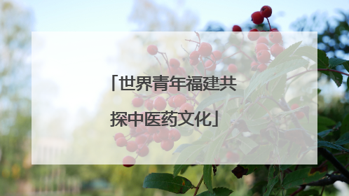 世界青年福建共探中医药文化