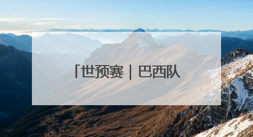 世预赛｜巴西队战平厄瓜多尔队