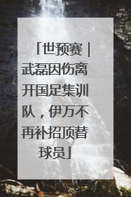 世预赛｜武磊因伤离开国足集训队，伊万不再补招顶替球员