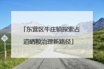 东营区牛庄镇探索占道晒粮治理新路径