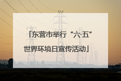 东营市举行“六·五”世界环境日宣传活动