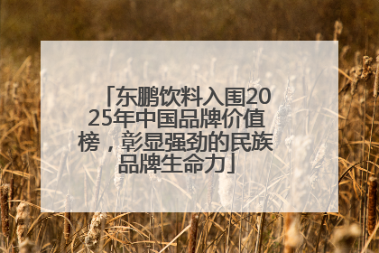 东鹏饮料入围2025年中国品牌价值榜，彰显强劲的民族品牌生命力