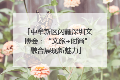 中牟新区闪耀深圳文博会：“文旅+时尚”融合展现新魅力