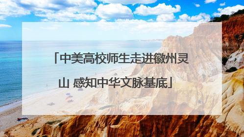 中美高校师生走进徽州灵山 感知中华文脉基底