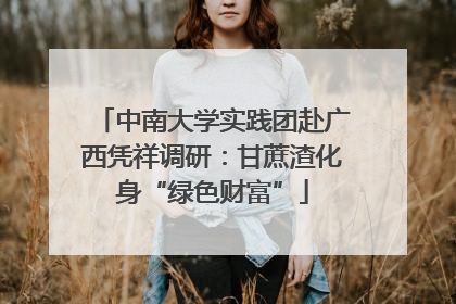 中南大学实践团赴广西凭祥调研：甘蔗渣化身“绿色财富”