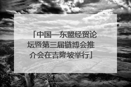 中国—东盟经贸论坛暨第三届链博会推介会在吉隆坡举行