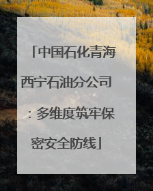 中国石化青海西宁石油分公司：多维度筑牢保密安全防线