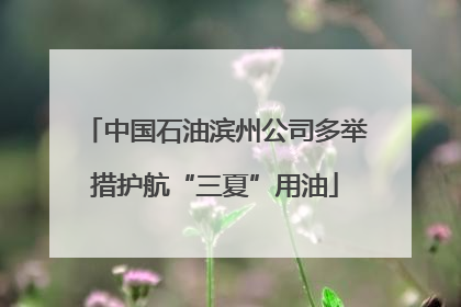 中国石油滨州公司多举措护航“三夏”用油