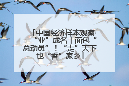 中国经济样本观察·一“业”成名丨面包“总动员”！“走”天下也“香”家乡