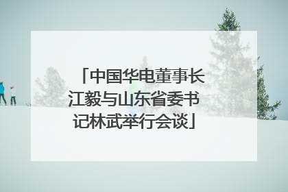 中国华电董事长江毅与山东省委书记林武举行会谈